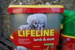 Rumenco Lifeline Lamb & Ewe Bucket 22.5kg